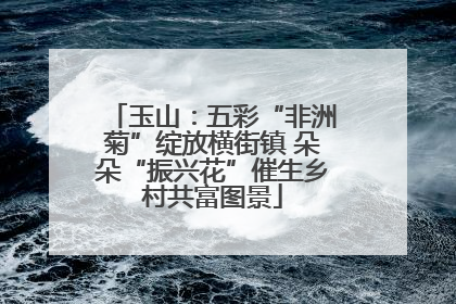 玉山：五彩“非洲菊”绽放横街镇 朵朵“振兴花”催生乡村共富图景