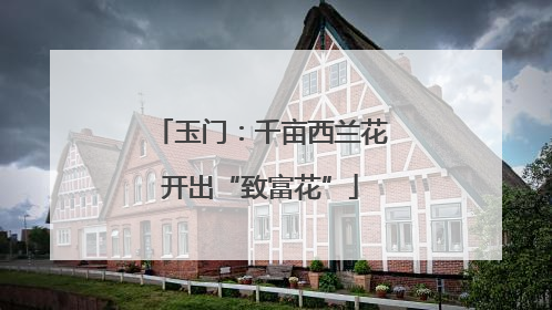 玉门：千亩西兰花开出“致富花”