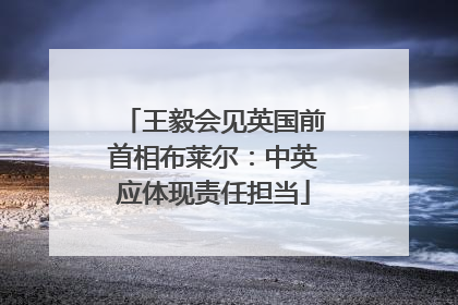 王毅会见英国前首相布莱尔：中英应体现责任担当