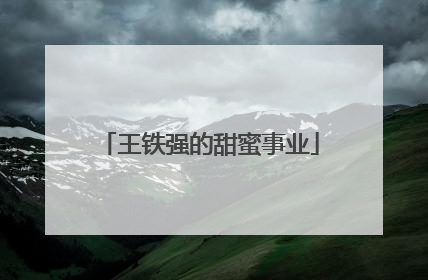 王铁强的甜蜜事业