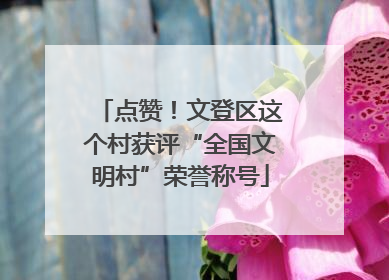 点赞！文登区这个村获评“全国文明村”荣誉称号