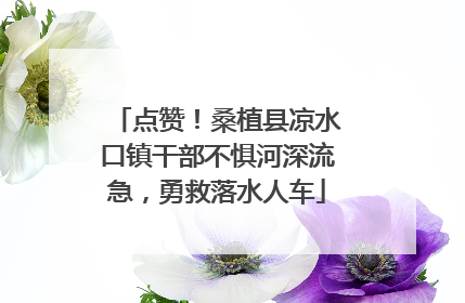 点赞！桑植县凉水口镇干部不惧河深流急，勇救落水人车