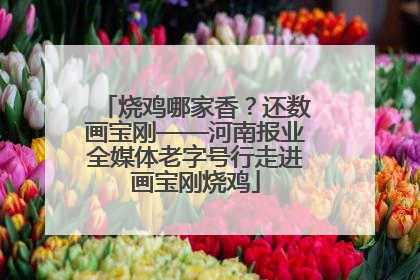 烧鸡哪家香？还数画宝刚——河南报业全媒体老字号行走进画宝刚烧鸡