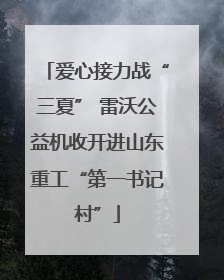 爱心接力战“三夏” 雷沃公益机收开进山东重工“第一书记村”