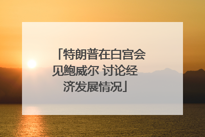 特朗普在白宫会见鲍威尔 讨论经济发展情况