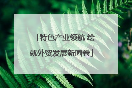 特色产业领航 绘就外贸发展新画卷