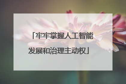 牢牢掌握人工智能发展和治理主动权