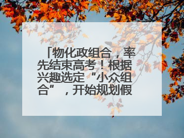 物化政组合，率先结束高考！根据兴趣选定“小众组合”，开始规划假期生活