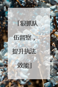 狠抓队伍督察，提升执法效能