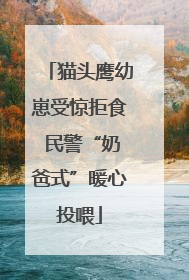 猫头鹰幼崽受惊拒食 民警“奶爸式”暖心投喂