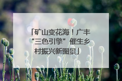矿山变花海！广丰“三色引擎”催生乡村振兴新图景