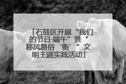 石鼓区开展“我们的节日·端午”暨“移风易俗‘衡’”文明主题实践活动