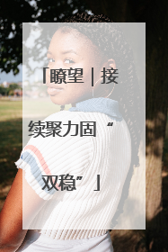 瞭望｜接续聚力固“双稳”