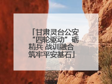 甘肃灵台公安“四轮驱动”砺精兵 战训融合筑牢平安基石