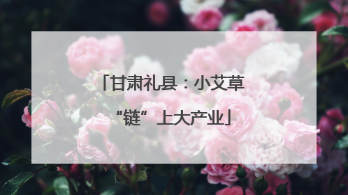 甘肃礼县：小艾草“链”上大产业
