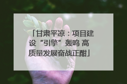 甘肃平凉：项目建设“引擎”轰鸣 高质量发展奋战正酣