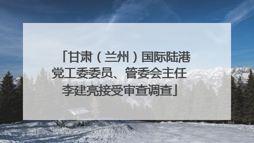甘肃（兰州）国际陆港党工委委员、管委会主任李建亮接受审查调查