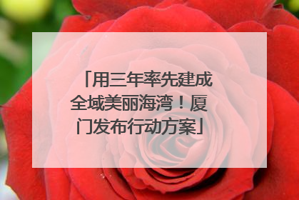 用三年率先建成全域美丽海湾！厦门发布行动方案