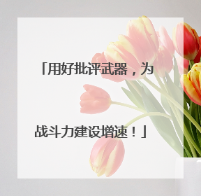 用好批评武器，为战斗力建设增速！