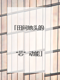 田间地头的“芯”动能