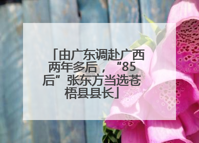 由广东调赴广西两年多后，“85后”张东方当选苍梧县县长