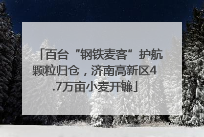 百台“钢铁麦客”护航颗粒归仓，济南高新区4.7万亩小麦开镰