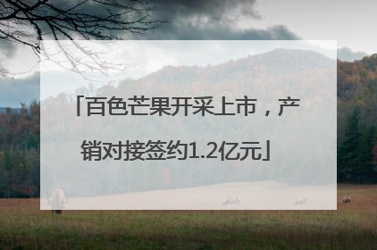 百色芒果开采上市，产销对接签约1.2亿元