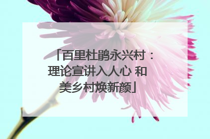 百里杜鹃永兴村：理论宣讲入人心 和美乡村焕新颜