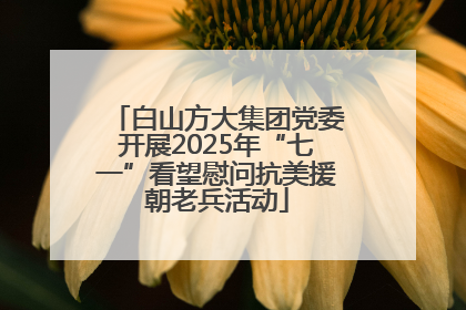白山方大集团党委开展2025年“七一”看望慰问抗美援朝老兵活动