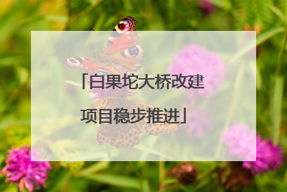 白果坨大桥改建项目稳步推进