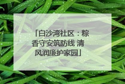 白沙湾社区：粽香守安筑防线 清风润廉护家园
