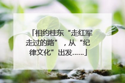 相约桂东“走红军走过的路”，从“纪律文化”出发……