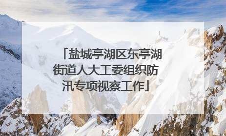 盐城亭湖区东亭湖街道人大工委组织防汛专项视察工作
