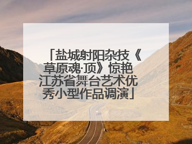 盐城射阳杂技《草原魂·顶》惊艳江苏省舞台艺术优秀小型作品调演