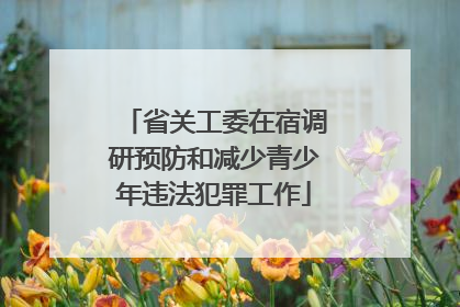 省关工委在宿调研预防和减少青少年违法犯罪工作