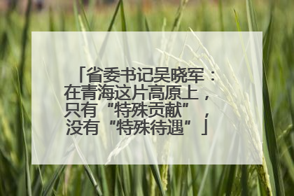 省委书记吴晓军：在青海这片高原上，只有“特殊贡献”，没有“特殊待遇”