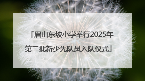 眉山东坡小学举行2025年第二批新少先队员入队仪式