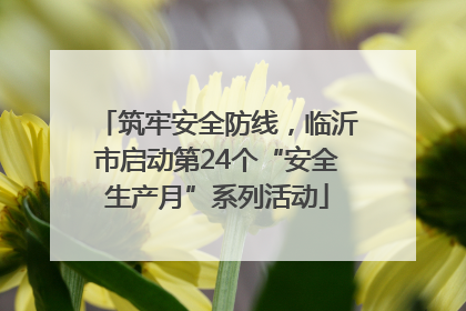 筑牢安全防线，临沂市启动第24个“安全生产月”系列活动