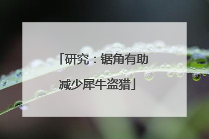 研究：锯角有助减少犀牛盗猎