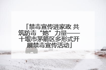 禁毒宣传进家政 共筑防毒“她”力量——十堰市茅箭区多形式开展禁毒宣传活动