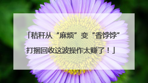 秸秆从“麻烦”变“香饽饽” 打捆回收这波操作太赚了！