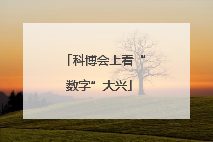 科博会上看“数字”大兴