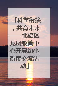 科学衔接，共育未来——北碚区龙凤教管中心开展幼小衔接交流活动