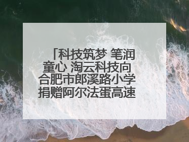 科技筑梦 笔润童心 淘云科技向合肥市郎溪路小学捐赠阿尔法蛋高速词典笔