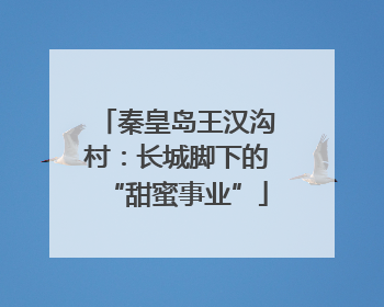 秦皇岛王汉沟村：长城脚下的“甜蜜事业”