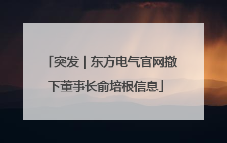 突发｜东方电气官网撤下董事长俞培根信息