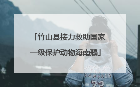 竹山县接力救助国家一级保护动物海南鳽