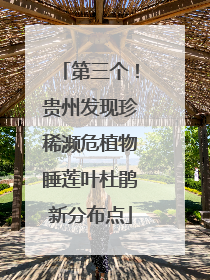 第三个！贵州发现珍稀濒危植物睡莲叶杜鹃新分布点