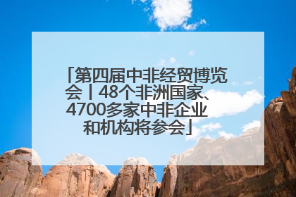 第四届中非经贸博览会丨48个非洲国家、4700多家中非企业和机构将参会