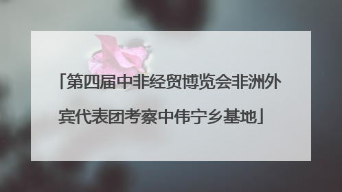 第四届中非经贸博览会非洲外宾代表团考察中伟宁乡基地